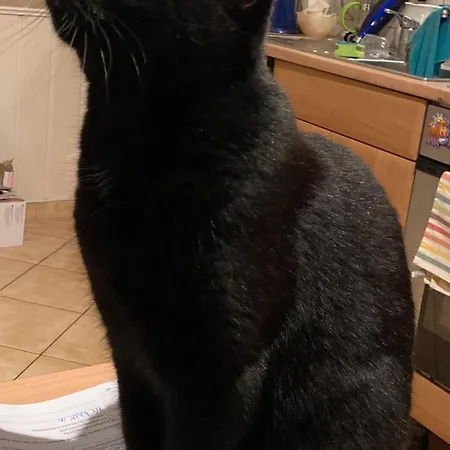 Zu Hause Διαμέρισμα