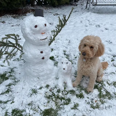 Zu Hause Διαμέρισμα Ostritz