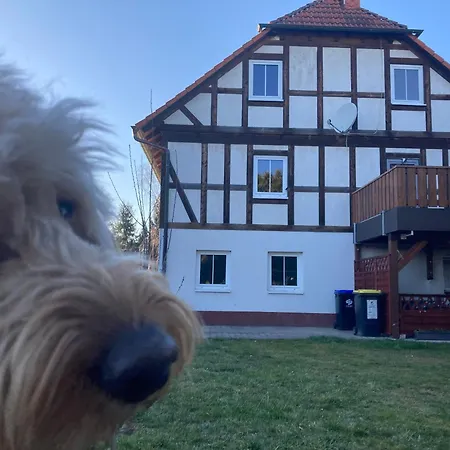 Zu Hause Apartment
