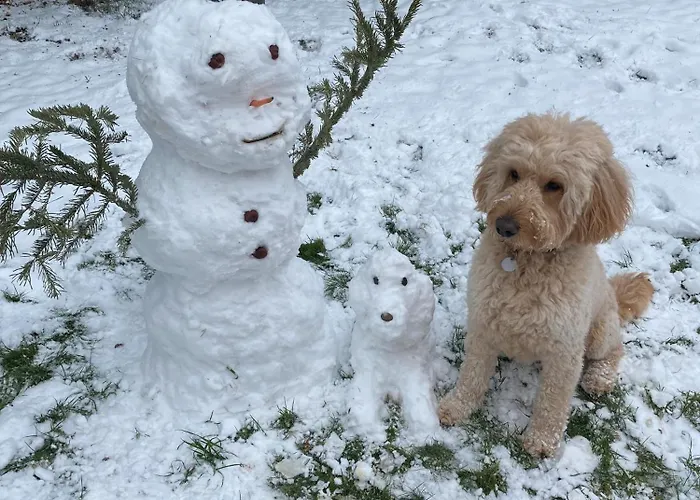 Zu Hause Lejlighed Ostritz